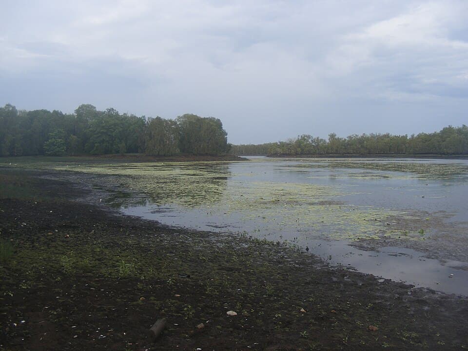 Manton Dam Wall Picnic Area