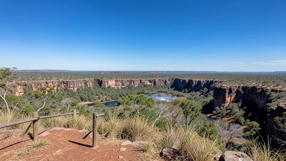 Fig Tree Valley Lookout