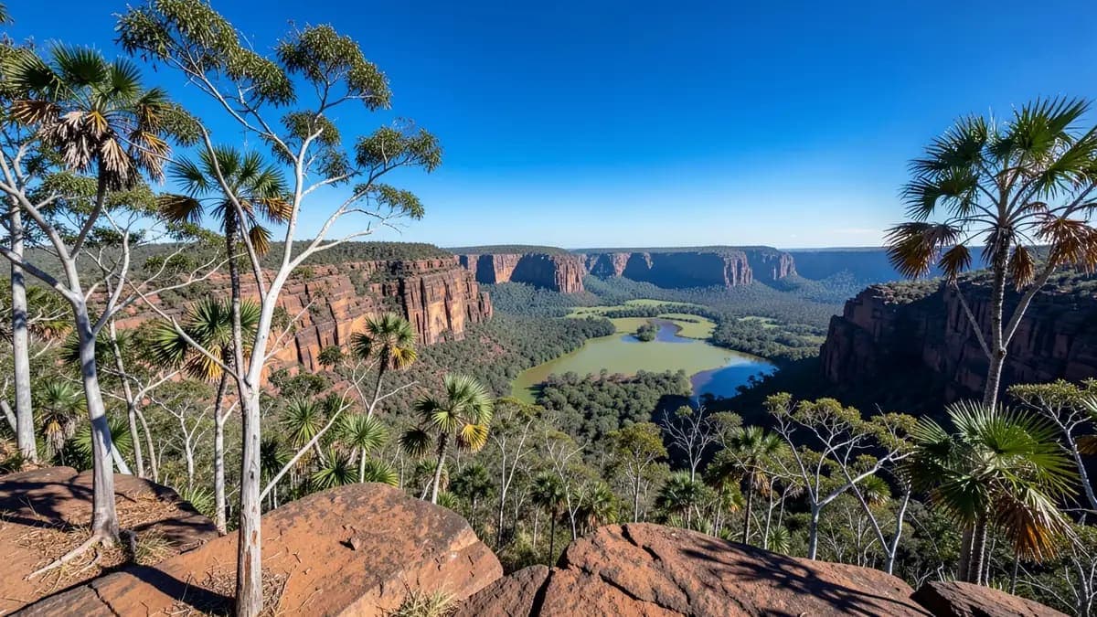Gunwarddehwardde Lookout