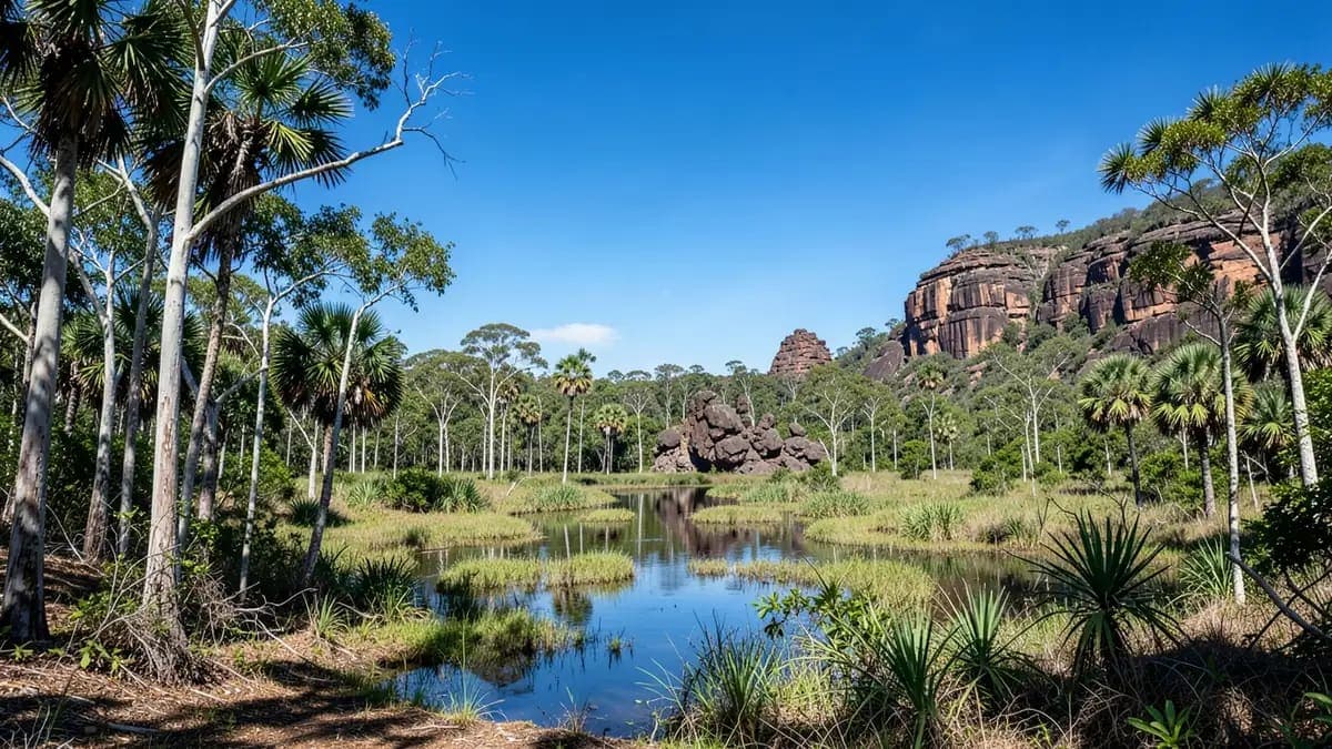 Melacca Swamp Conservation Area