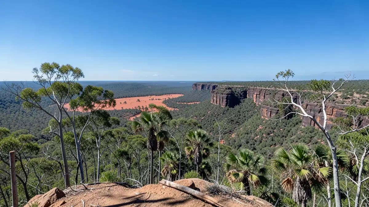 Mirrai Lookout