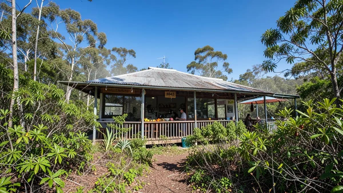 Mt. 8848 Cafe and Restaurant
