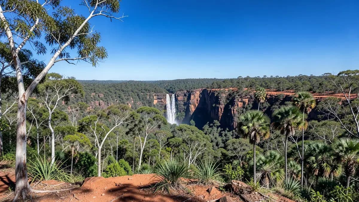 Waterfall Viewpoint